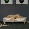 Pies leżący na Omlet Topology leGowisko dla psa z wkładem z owczej skóry i Gold nóżki na szynie