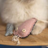 Zbliżenie zabawki dla kota Omlet meduza z białym kotem