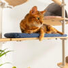 Kot leżący na tkanej niebieskiej poduszce Freestyle piętrowe drzewko dla kotów