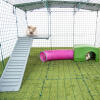 Wewnątrz Omlet Zippi kojec dla królików z platformami Zippi, zieloną budką Zippi, tunelem do zabawy Zippi i dwoma królikami