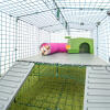 Omlet Zippi kojec dla królika z platformami Zippi, zieloną budką Zippi, tunelem do zabawy Zippi i królikiem