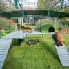 Wewnątrz Omlet Zippi kojec dla królików z platformami Zippi, zieloną budką Zippi i trzema królikami