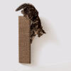 Drapanie kota drapak z kartonu przymocowany do ściany