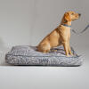 Pies w designerskim poduszkowym leGowisku dla psa z dopasowaną obrożą i smyczą w konturowym szarym wzorze