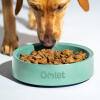 Retriever jedzący karmę z miski dla psa Omlet w szałwii