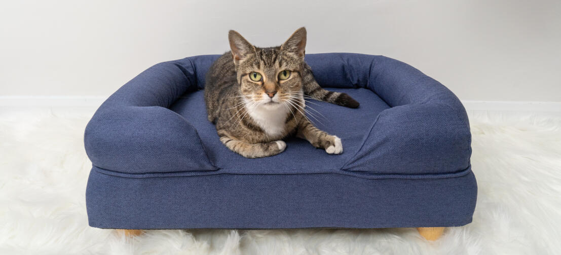 Uroczy kot siedzący na niebieskim leGowisku dla kota z pianki memory z drewnianymi okrągłymi nóżkami
