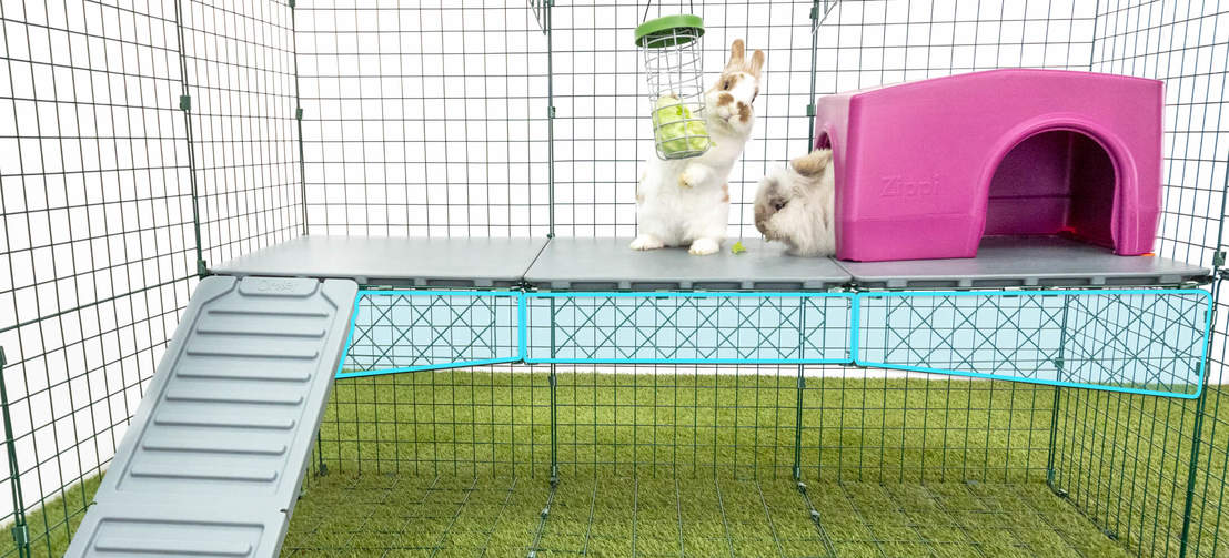 Platformy Zippi wyposażone są w mocne druciane wsporniki, dzięki którym nie uginają się ani nie odkształcają, gdy są na nich króliki.