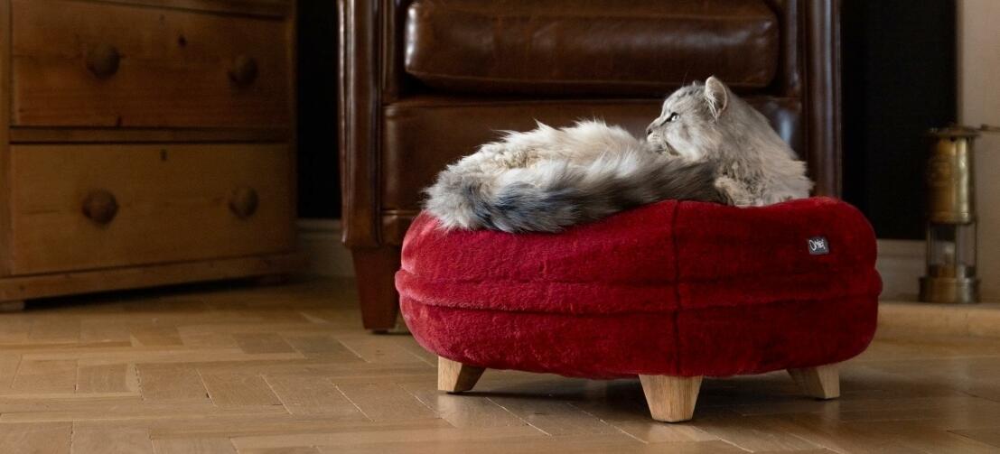 Kot odpoczywający na rubinowo czerwonym miękkim leGowisku z kwadratowymi drewnianymi łapkami