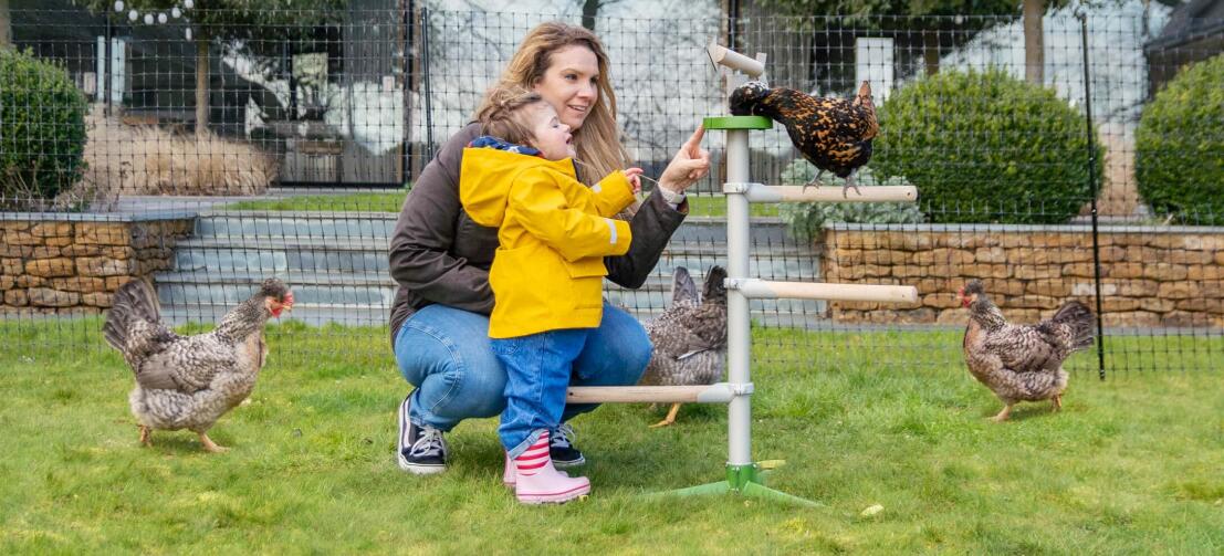 Mama i córka bawią się z kurczakami na uniwersalnej wolnostojącej zabawce z grzędą dla kurczaków