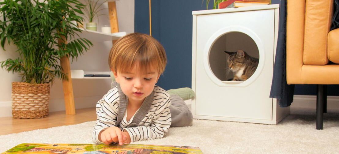 Uroczy kot w Omlet Maya domek dla kotów z dzieckiem leżącym z przodu i czytającym książkę