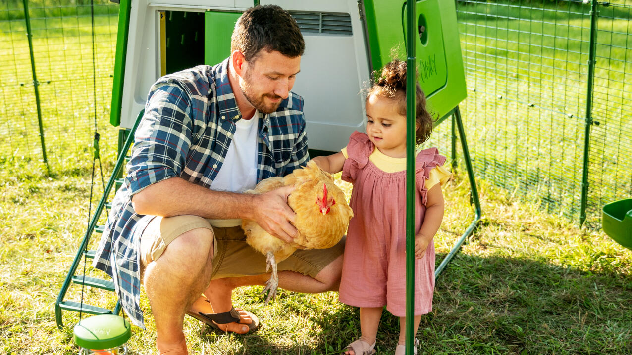 Mężczyzna z córką trzymający kurczaka w kurniku
