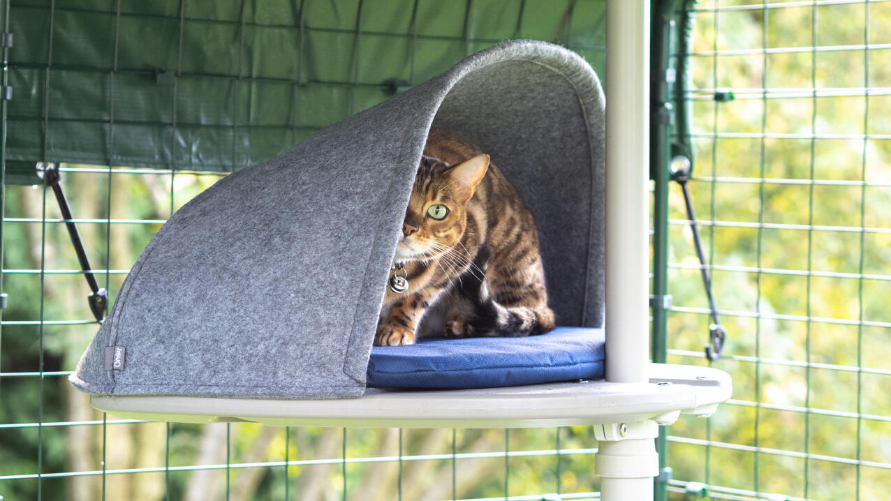 Kot odpoczywający na platformie przymocowanej do zewnętrzneGo drapaka Freestyle 