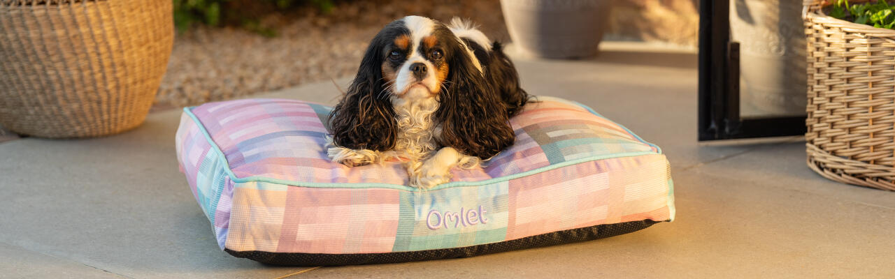 Spaniel siedział na małym leGowisku dla psa z nadrukiem kalejdoskopu pryzmatyczneGo - część kolekcji gardenia Omlet.