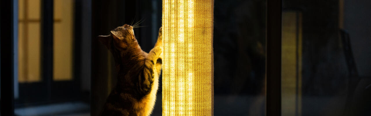 Switch podświetlany drapak dla kota z trwałeGo sizalu