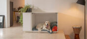 Pies labrador relaksujący się w klatce Fido Nook biała skrzynia z wbudowaną szafą