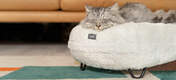 Kot śpiący na piłce Snowbiała miękka Luxury Maya pączek leGowisko dla kota z czarnymi metalowymi nóżkami
