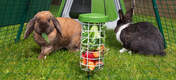 Podajnik na Przysmaki Caddi zapewnia czysty i higieniczny sposób karmienia Twoich królików, ponieważ utrzymuje on pokarm nad ziemią