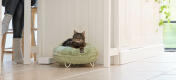 Kot w kuchni, relaksujący się w super miękkim, miętowo-zielonym leGowisku z pączków