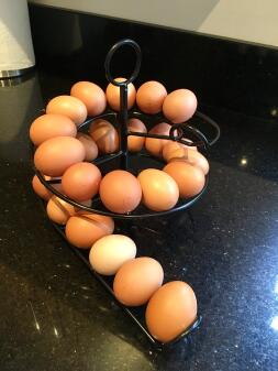 Pyszne jajka od moich dziewczyn