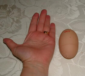 Ręka i jajko