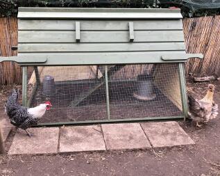 Kurczęta na zewnątrz Boughton drewniany kurnik