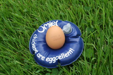 Nasze pierwsze jajko od Louisa - jest z nami tylko przez 4 dni!