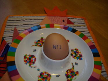 Pierwsze jajko od Hannah lub Peppi!