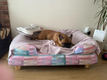 Belle kocha swoje nowe łóżko!