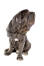 Piękny mastif neapolitański, pokazujący swoje ogromne łapy