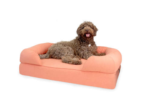 Duży brązowy pies siedział na dużym różowym łóżku z pianki memory bed bolster bed