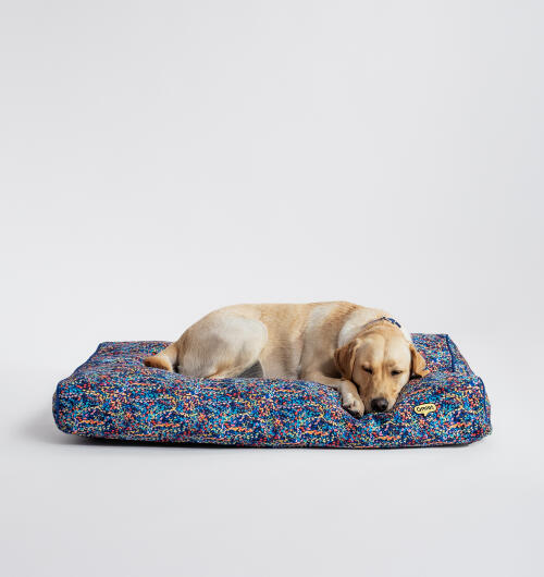 Pies odpoczywający na poduszkowym leGowisku dla psa