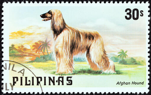 Pies afgański na znaczku filipińskim