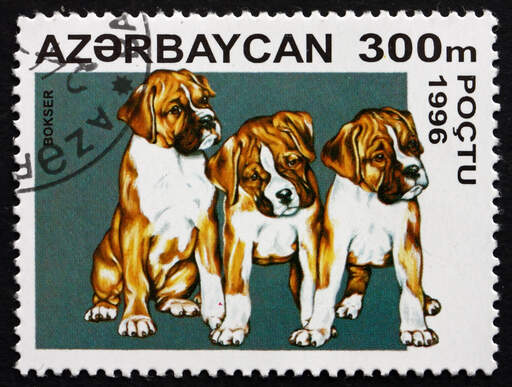 Bokser na znaczku wschodnioeuropejskim