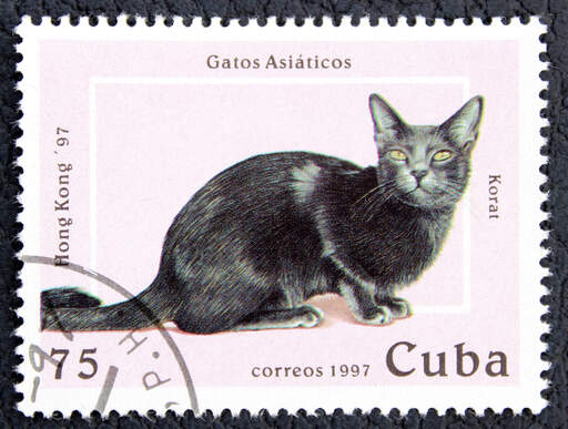 Znaczek z kuby z nadrukowanym kotem koratowskim