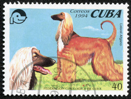 Ogar afgański na znaczku kubańskim