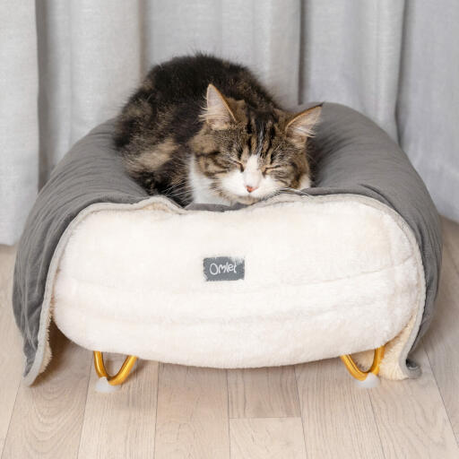 Kot śpiący na Omlet Maya leGowisko dla kota w Snowbiałej kuli z Godługimi łapkami i Omlet Lux koc dla kota