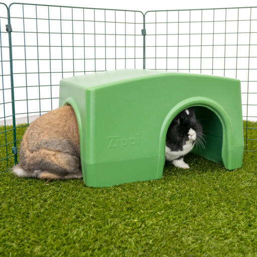 Zippi schronisko dla królików zielone