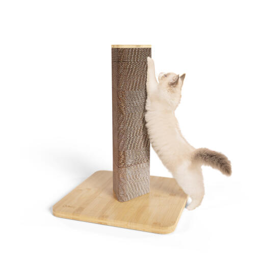 Drapak dla kotów Stak w wersji niskiej z bambusową podstawą
