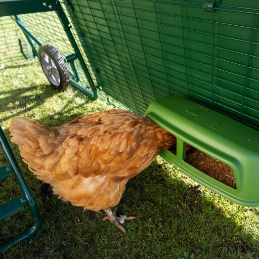 Kurczak jedzenie wewnątrz run cover for Eglu Go up chicken coop