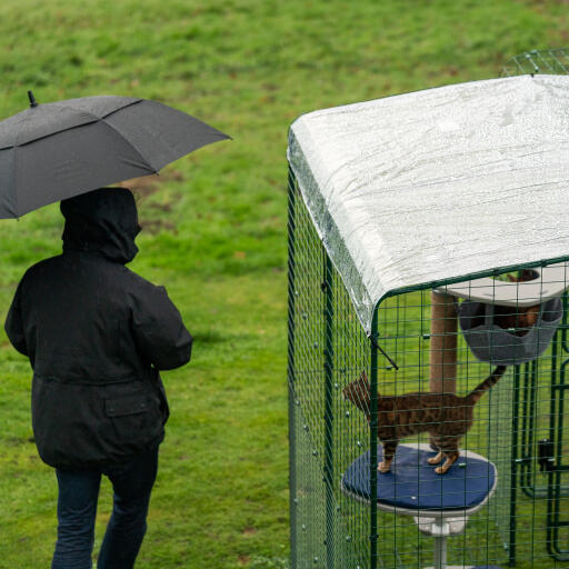 Właściciel z parasolką obok kota w wybiegu z przezroczystą pokrywą