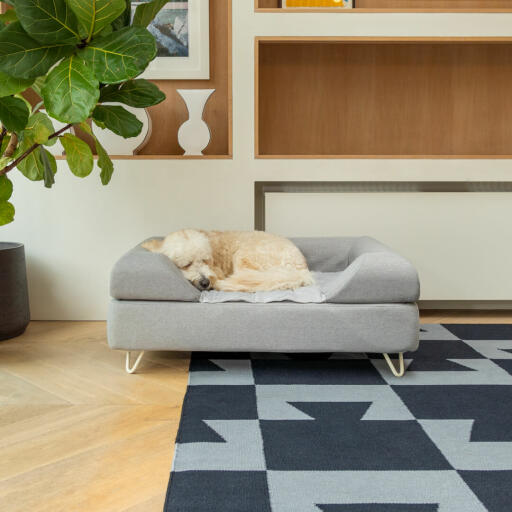 Pies śpiący na Omlet Topology leGowisko dla psa z szarą nakładką i białymi nóżkami z włosia