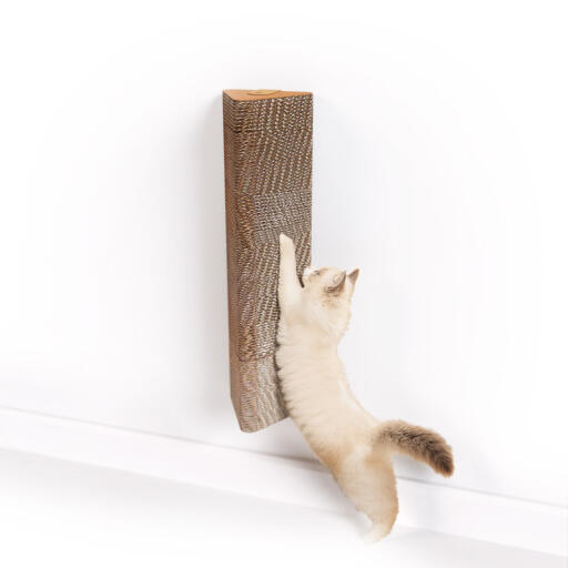 Drapak dla kota z kartonu montowany na ścianie
