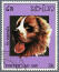 Bernenski pies górski na znaczku z południowo-wschodniej azji