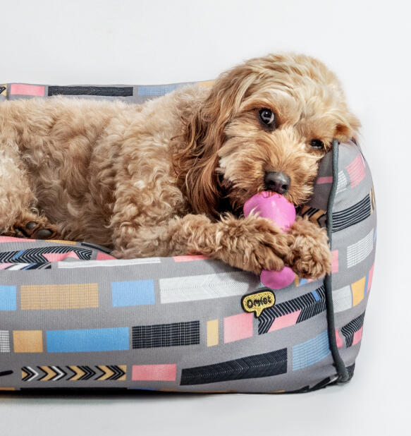 Wspierające i stylowe leGowisko dla psa nest marki Omlet
