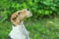 Wire fox terrier pokazuje swój piękny, długi nos i kręconą brodę