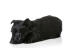A GorGeonas, mały, czarny szczeniak szkockieGo teriera odpoczywający na podłodze