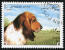 Pies basset na znaczku afgana