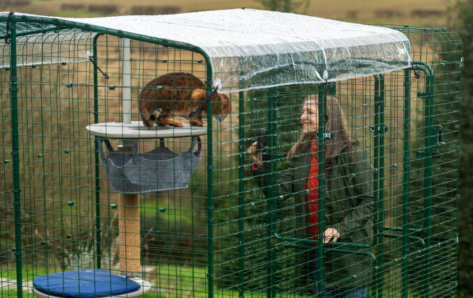 Właściciel wchodzi w interakcję ze swoim kotem w wybiegu Omlet Walk In Run z ochroną przed pogodą.
