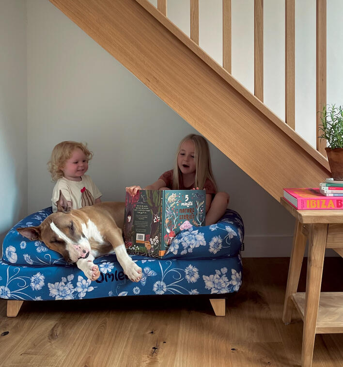 Dzieci czytające psu na leGowisku dla psa z pianki z pamięcią kształtu