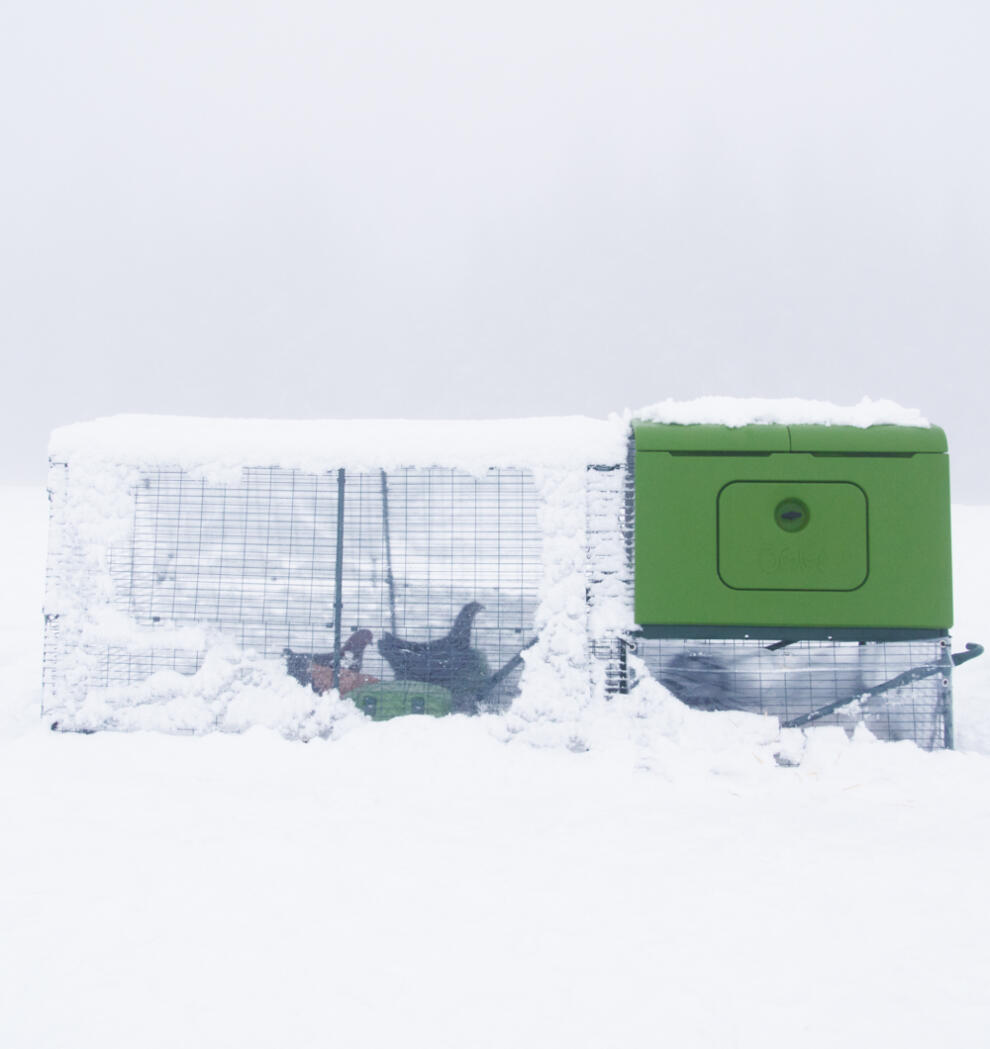 Eglu Cube kurnik w Snow